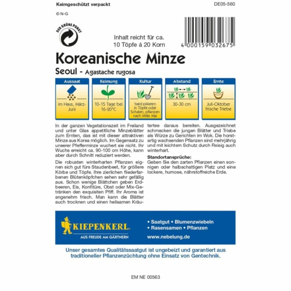 Koreanische Minze Seoul – Bild 2
