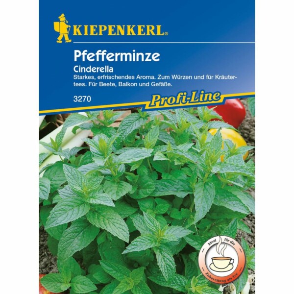 Pfefferminze Cinderella