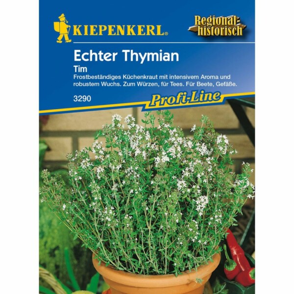 Echter Thymian Tim