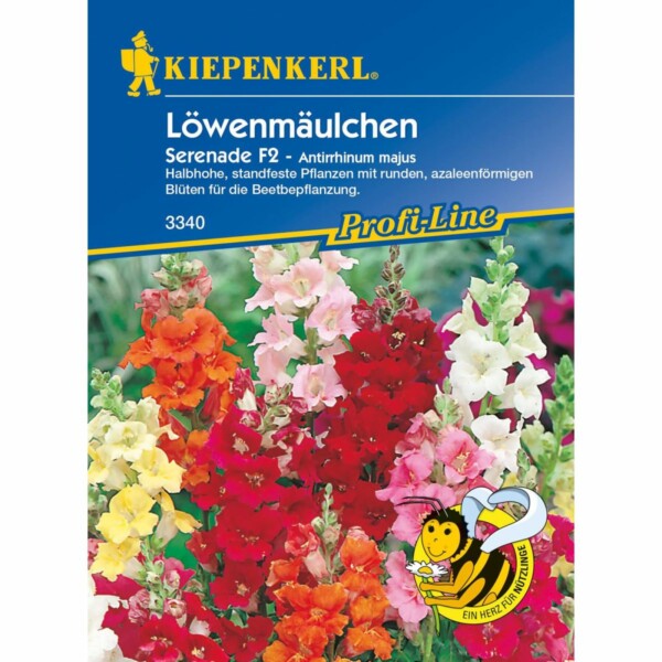 Löwenmäulchen Serenade, F2