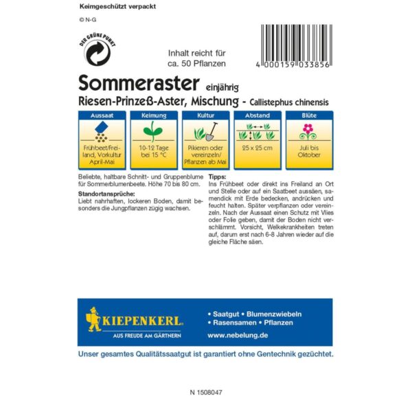 Sommeraster Riesen-Prinzeß - Mischung – Bild 2
