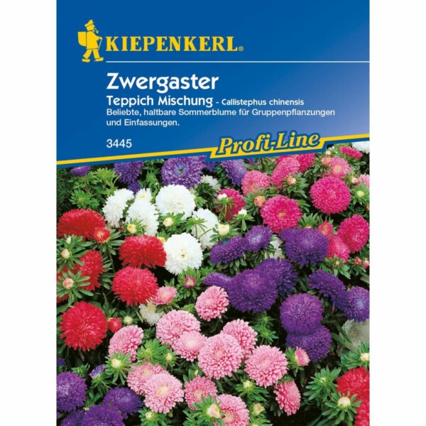 Zwergaster Teppich Mischung