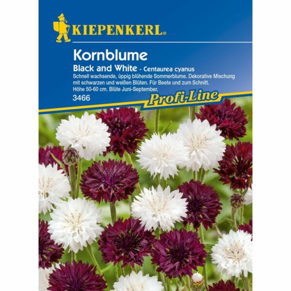 Kornblume Black and White