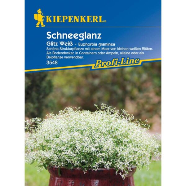 Schneeglanz 'Glitz Weiß'