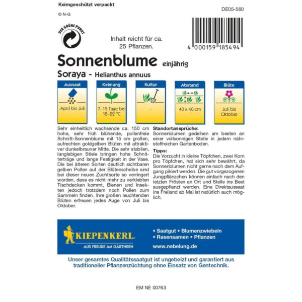Helianthus Soraya – Bild 2