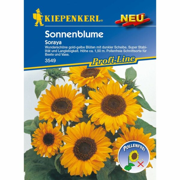 Helianthus Soraya