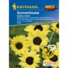 Sonnenblume Soluna Lemon