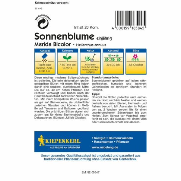 Sonnenblume Merida Bicolor – Bild 2