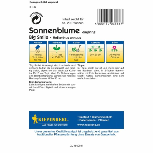 Sonnenblumen Big Smile – Bild 2