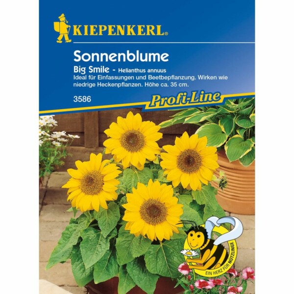 Sonnenblumen Big Smile