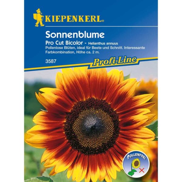 Sonnenblume Pro Cut Bicolor, F1