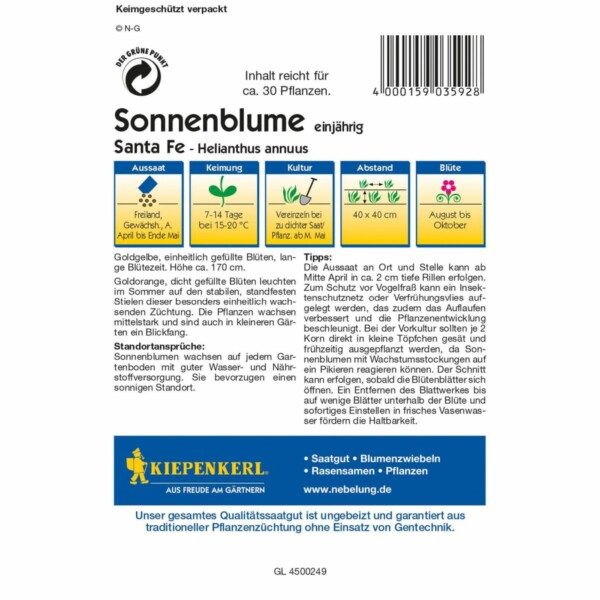 Sonnenblume Santa Fe – Bild 2
