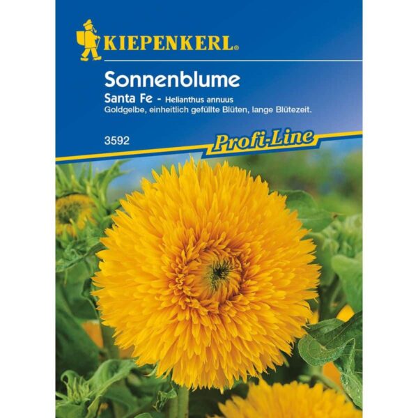 Sonnenblume Santa Fe