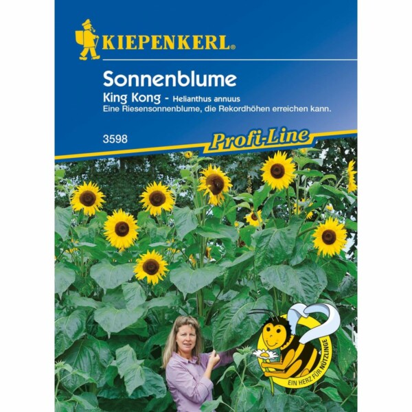 Sonnenblume King Kong