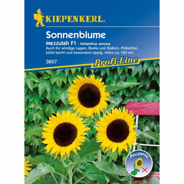 Sonnenblume Mezzulah, F1