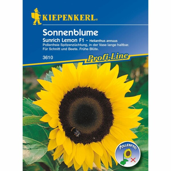 Sonnenblume Sunrich Lemon, F1