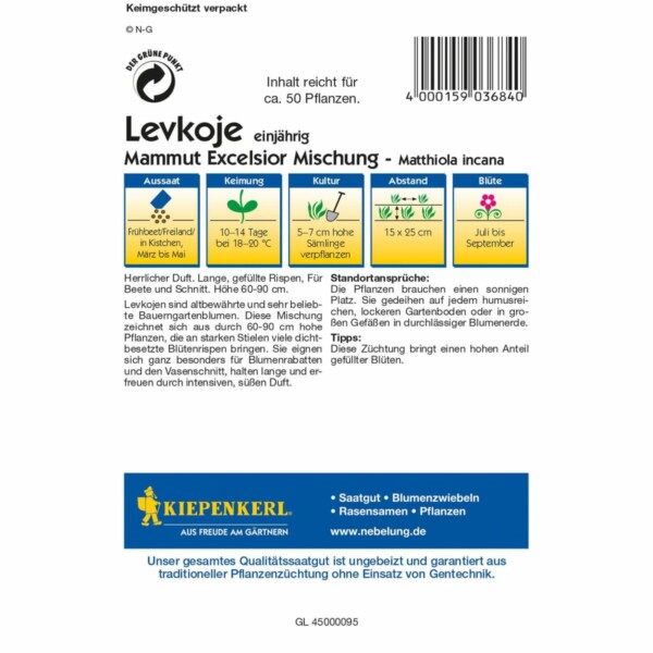 Levkojen Mammut Excelsior, – Bild 2