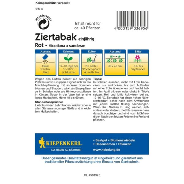 Ziertabak rot – Bild 2