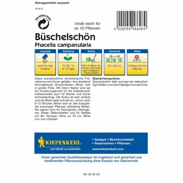 Büschelschön – Bild 2