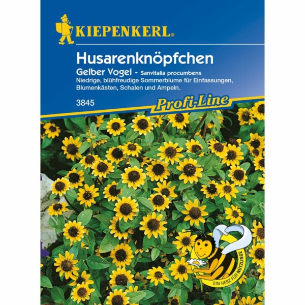 Husarenknöpfchen Gelber Vogel