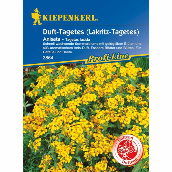 Tagetes Anisata
