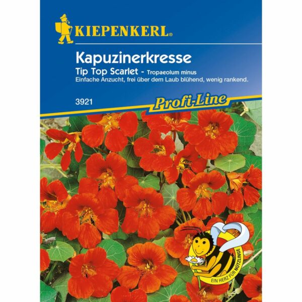 Kapuzinerkresse Tip Top Scarlet