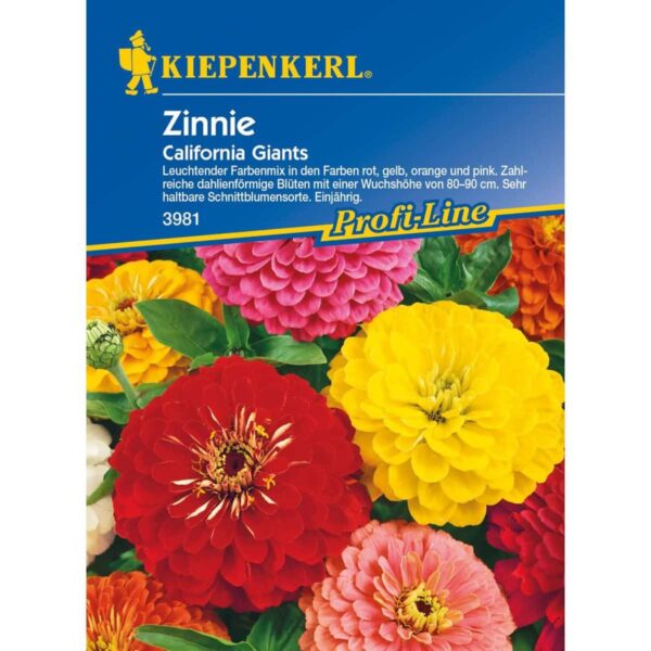 Zinnia California Giants