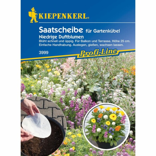 Niedrige Duftblumen Saatscheiben