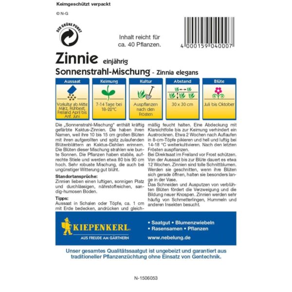 Zinnien Sonnenstrahl-Mix – Bild 2