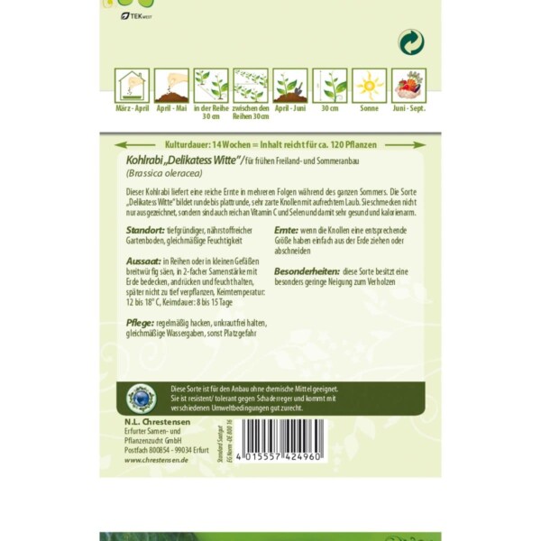Kohlrabi Delikateß weißer – Bild 2