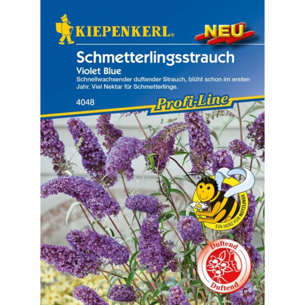 Schmetterlingsstrauch Violet Blue