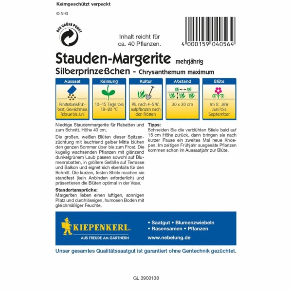Stauden-Margerite Silberprinzesschen – Bild 2