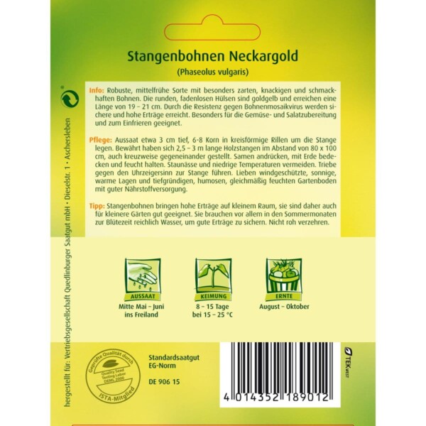 Bohnen Stangen- Neckargold – Bild 2