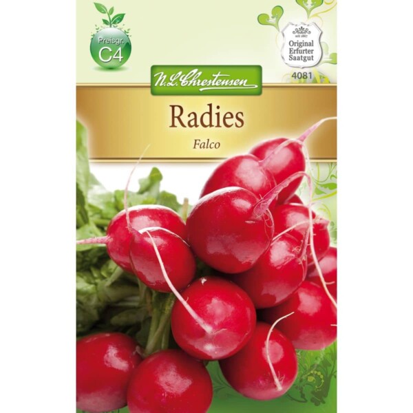 Radies Falco