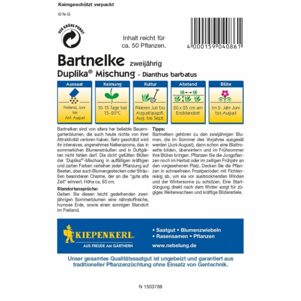 Bartnelken Duplika Mischung – Bild 2