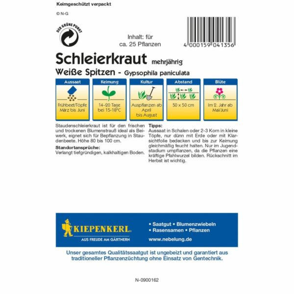 Schleierkraut Weiße Spitzen – Bild 2