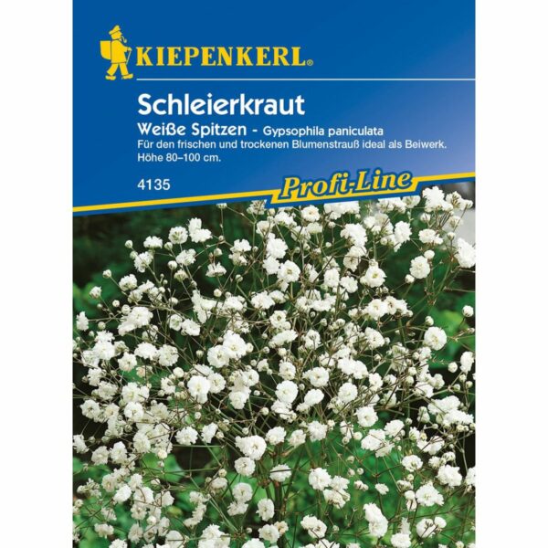 Schleierkraut Weiße Spitzen