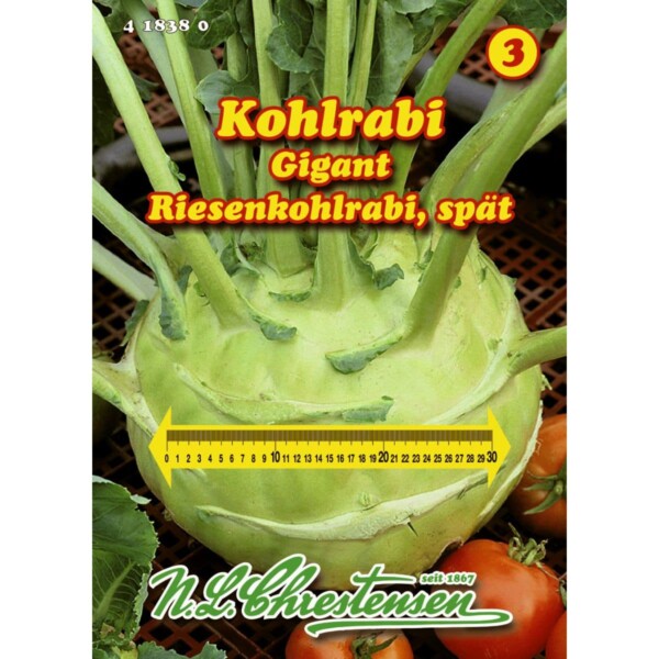 Kohlrabi, Gigant, Riesenkohlrabi