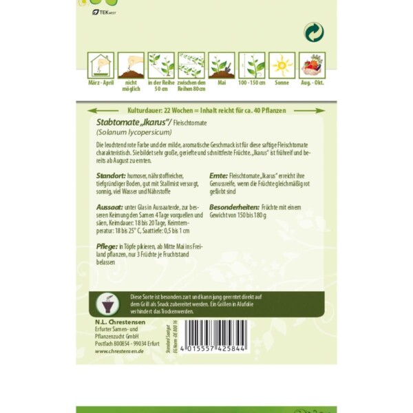 Stabtomate Ikarus – Bild 2