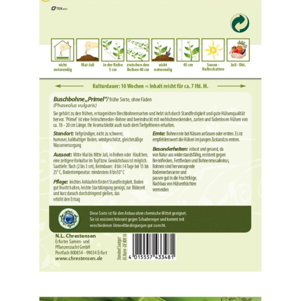 Buschbohne Primel – Bild 2
