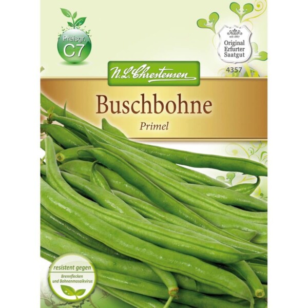 Buschbohne Primel