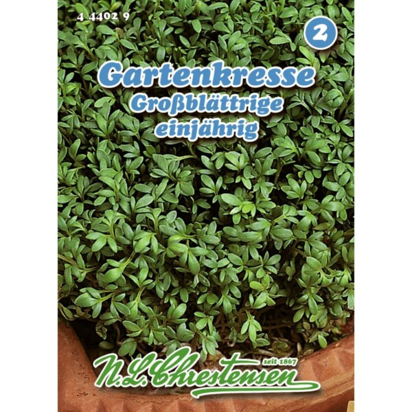 Gartenkresse, Großblättrige