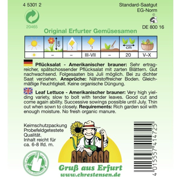 Pflücksalat, Amerikanischer brauner – Bild 2
