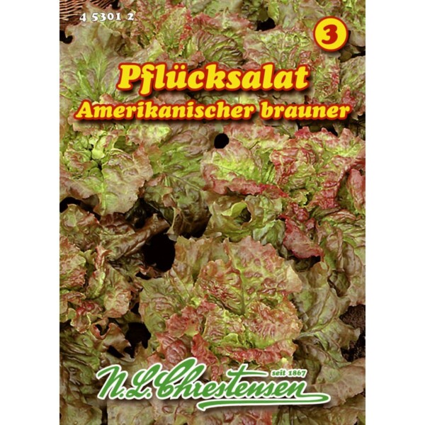 Pflücksalat, Amerikanischer brauner