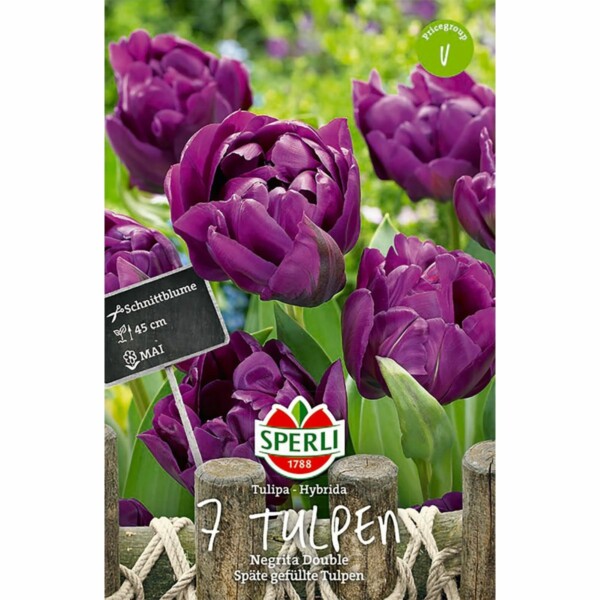 Sperli Tulipa Negrita Double