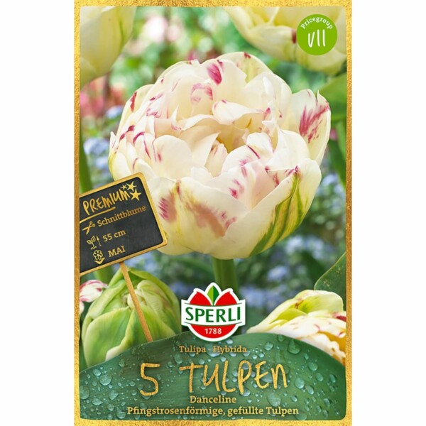 Sperli Premium Tulipa Danceline