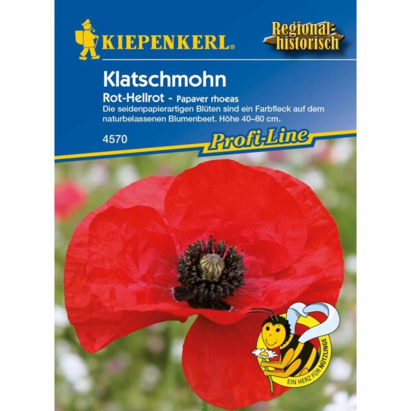 Klatschmohn Papaver rhoeas