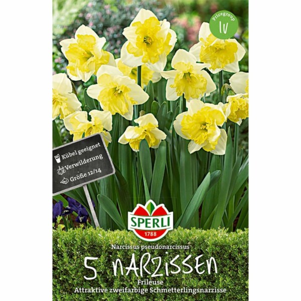 Sperli Narcissus Frileuse
