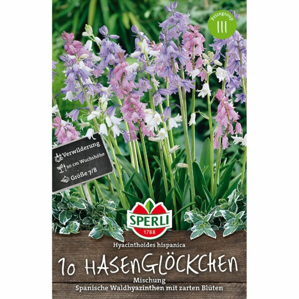 Hasenglöckchen Mischung