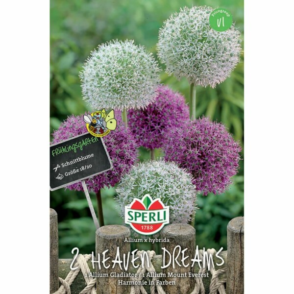 Heaven Dreams 1 Allium 'Gladiator' + 1 Allium 'Mount Everest'